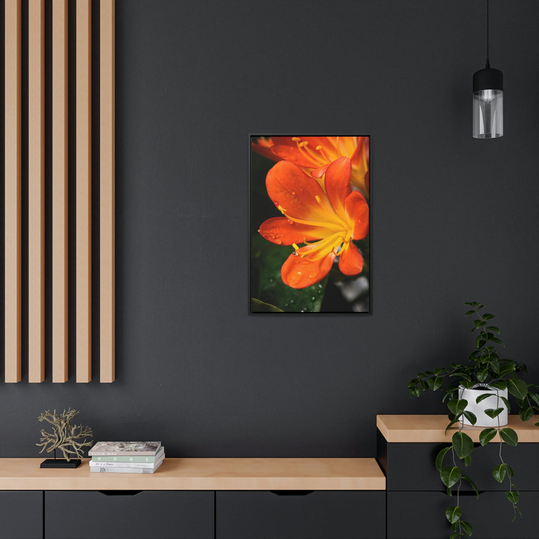 Bright Bush Lily - Canvas with Frame - Visiting This World