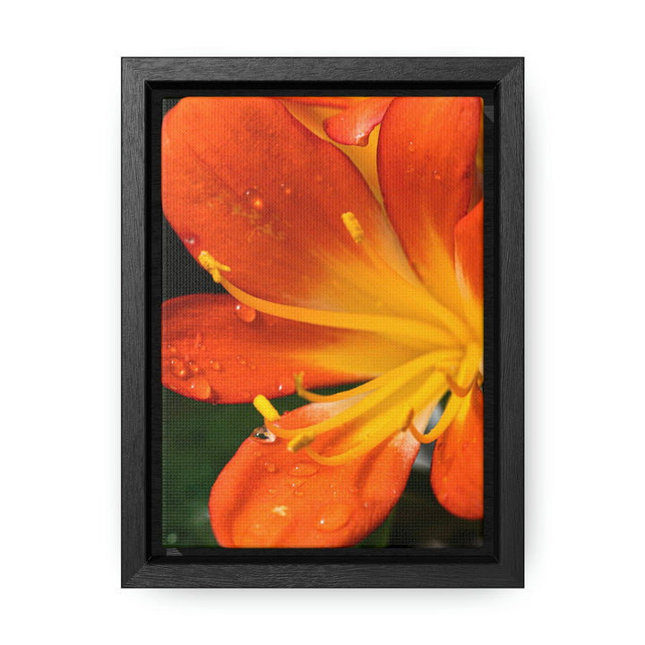 Bright Bush Lily - Canvas with Frame - Visiting This World