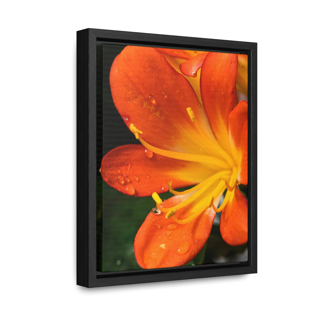 Bright Bush Lily - Canvas with Frame - Visiting This World