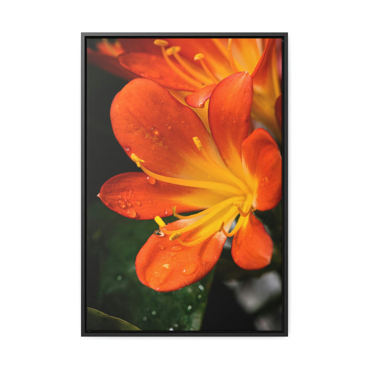 Bright Bush Lily - Canvas with Frame - Visiting This World