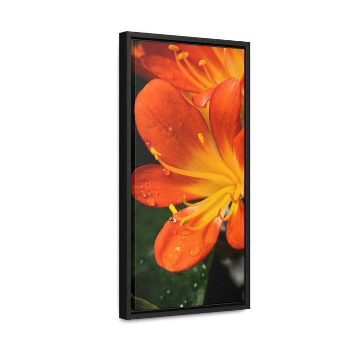 Bright Bush Lily - Canvas with Frame - Visiting This World