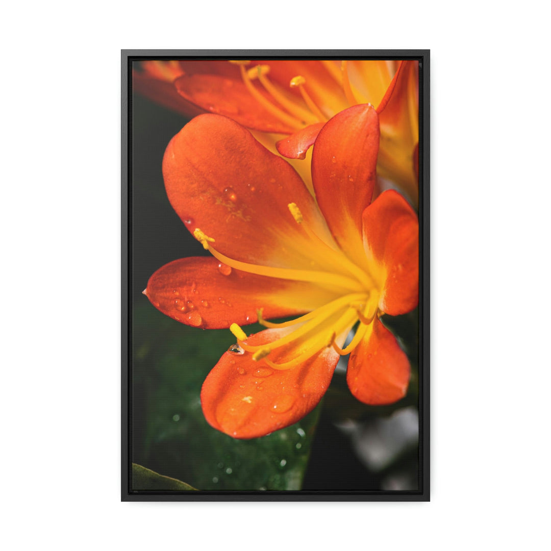 Bright Bush Lily - Canvas with Frame - Visiting This World