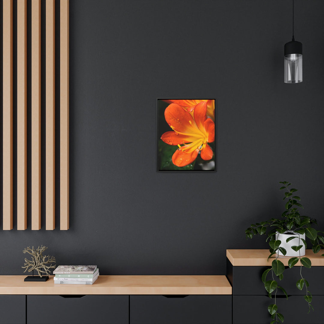 Bright Bush Lily - Canvas with Frame - Visiting This World