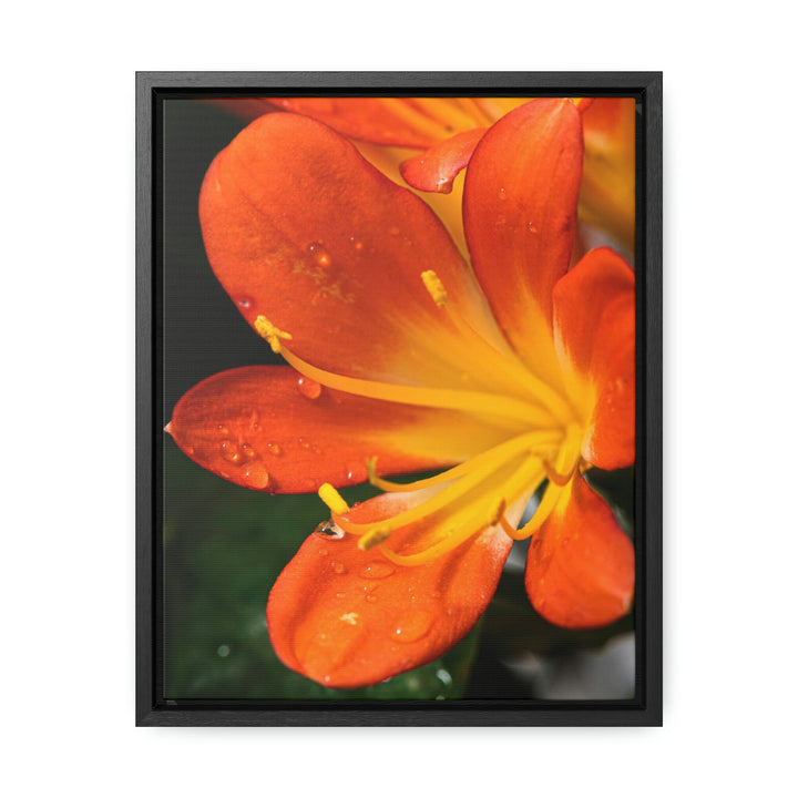 Bright Bush Lily - Canvas with Frame - Visiting This World