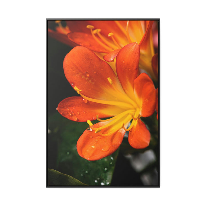 Bright Bush Lily - Canvas with Frame - Visiting This World