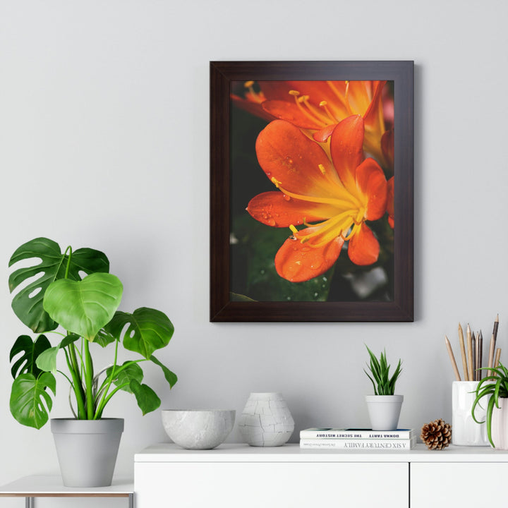 Bright Bush Lily - Framed Print - Visiting This World