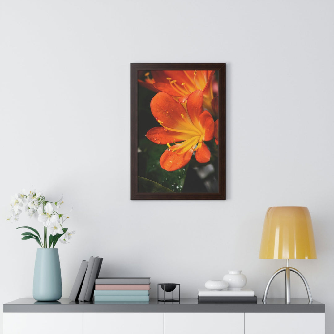 Bright Bush Lily - Framed Print - Visiting This World