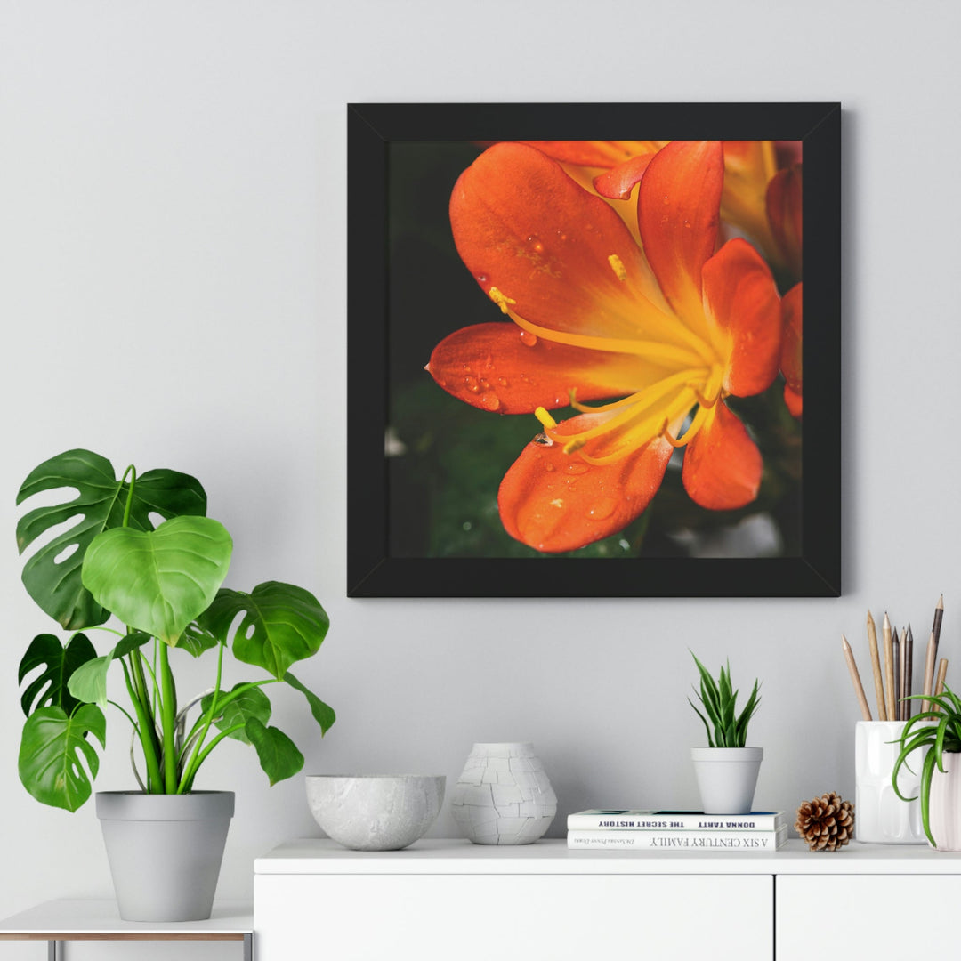 Bright Bush Lily - Framed Print - Visiting This World