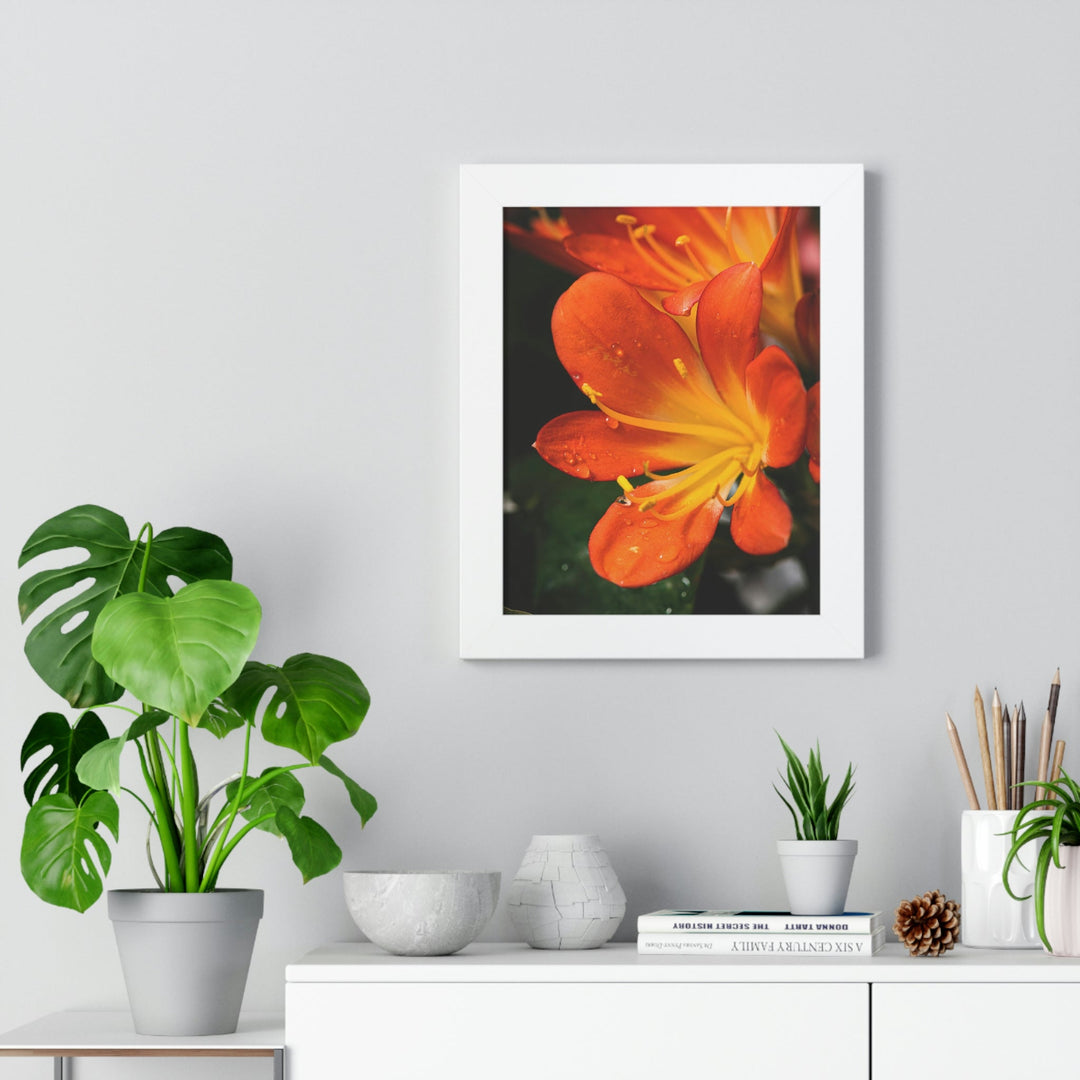 Bright Bush Lily - Framed Print - Visiting This World