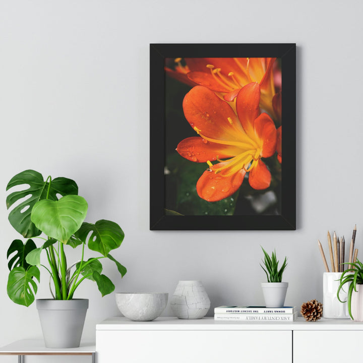 Bright Bush Lily - Framed Print - Visiting This World