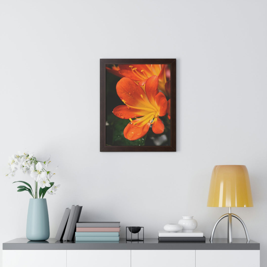 Bright Bush Lily - Framed Print - Visiting This World