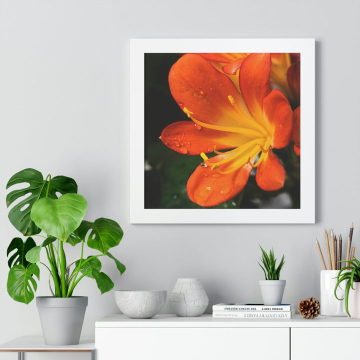 Bright Bush Lily - Framed Print - Visiting This World