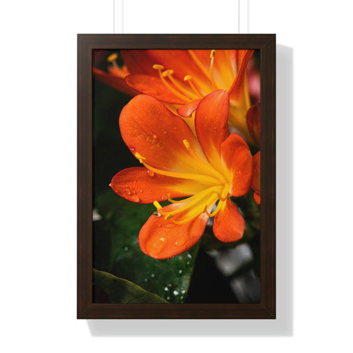 Bright Bush Lily - Framed Print - Visiting This World