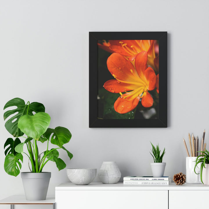 Bright Bush Lily - Framed Print - Visiting This World