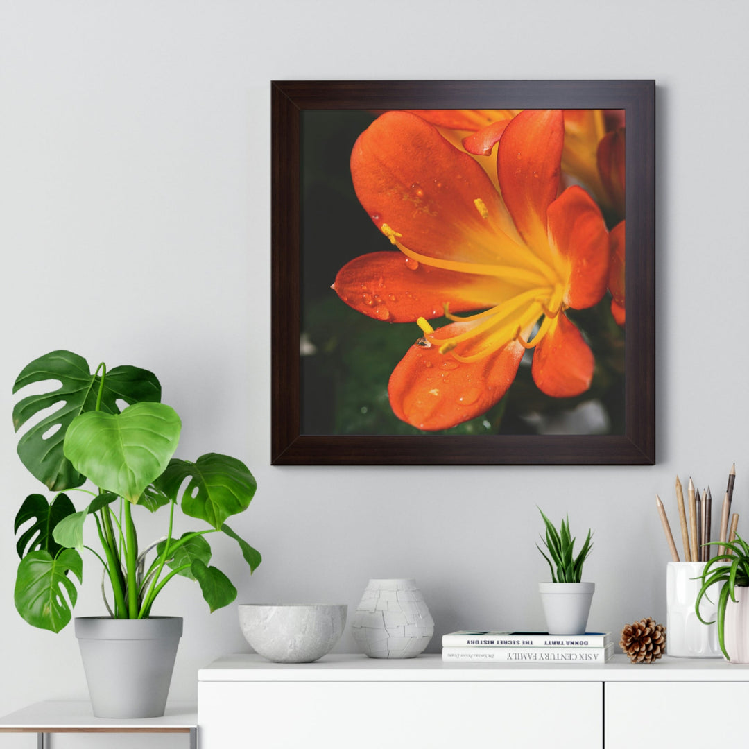 Bright Bush Lily - Framed Print - Visiting This World