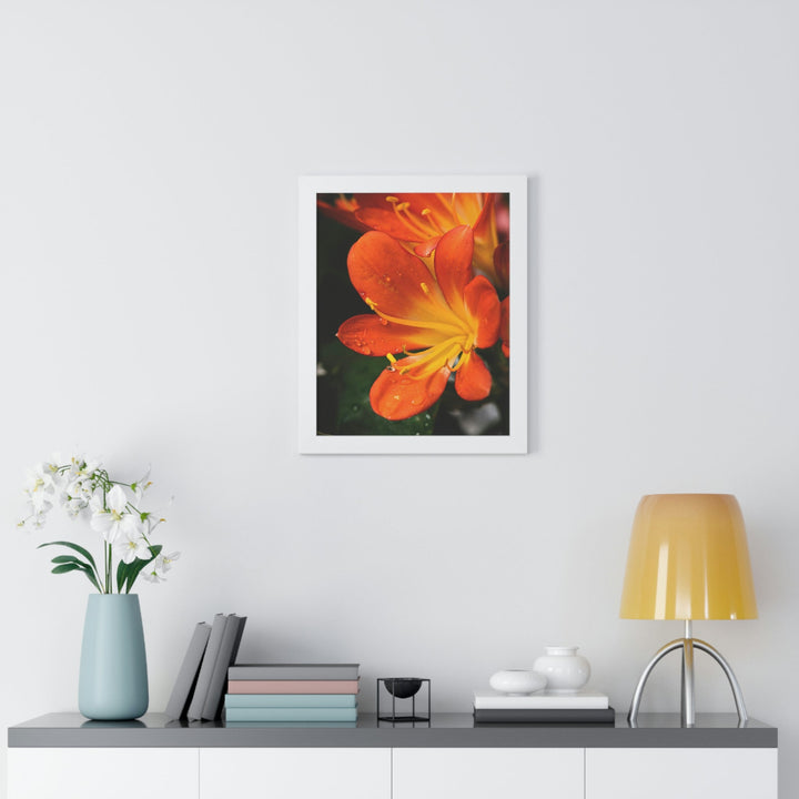 Bright Bush Lily - Framed Print - Visiting This World