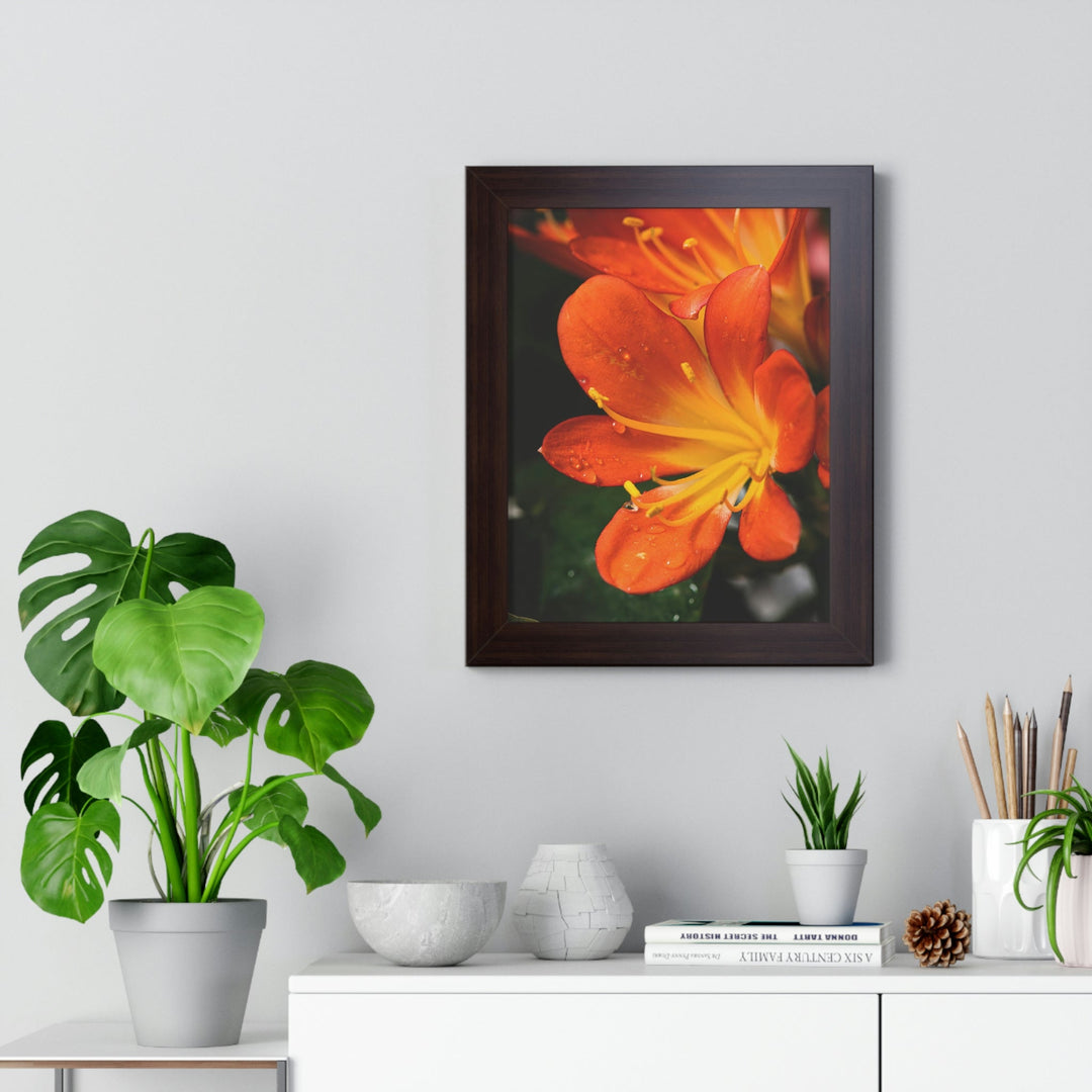 Bright Bush Lily - Framed Print - Visiting This World