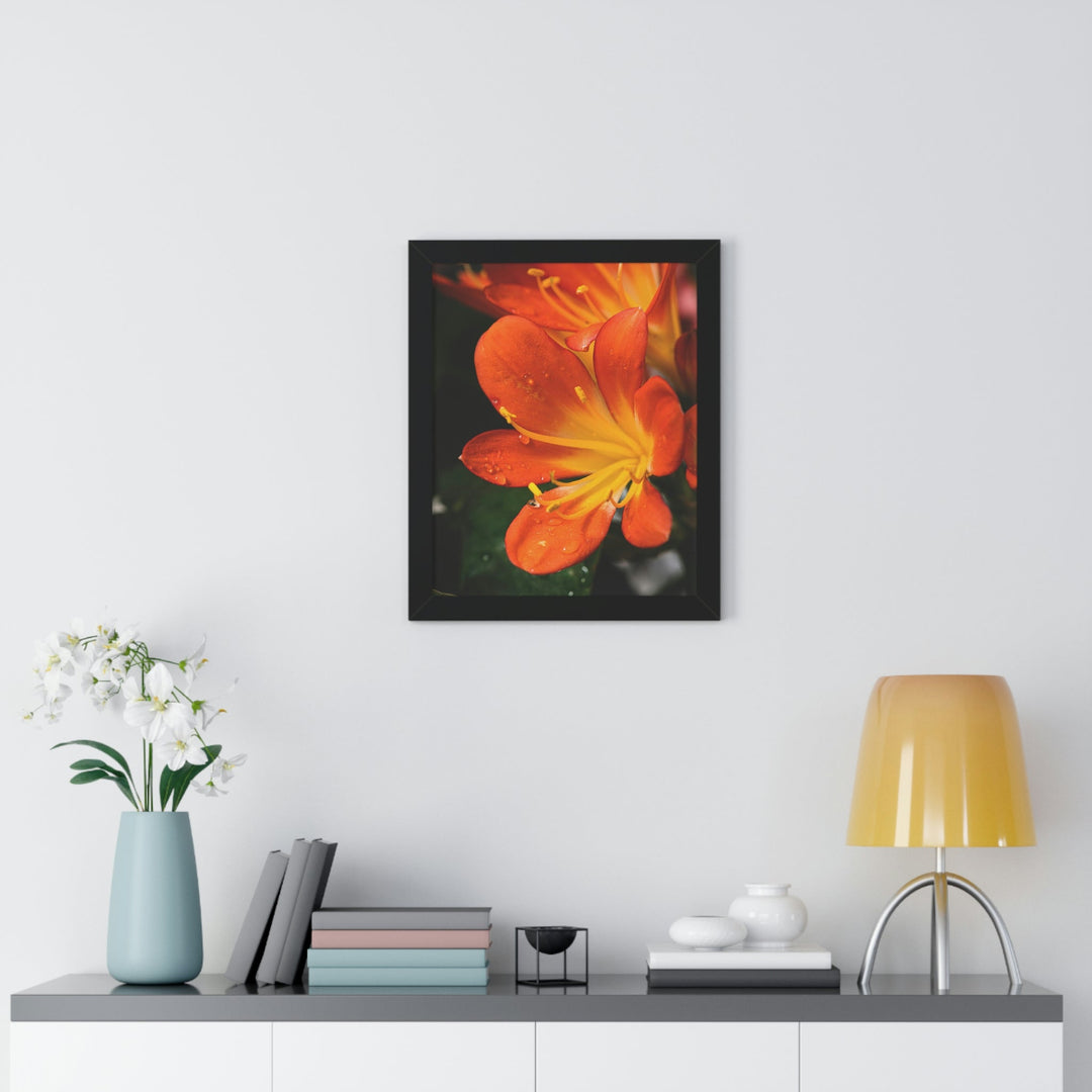 Bright Bush Lily - Framed Print - Visiting This World