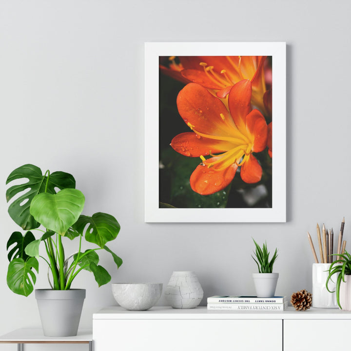 Bright Bush Lily - Framed Print - Visiting This World