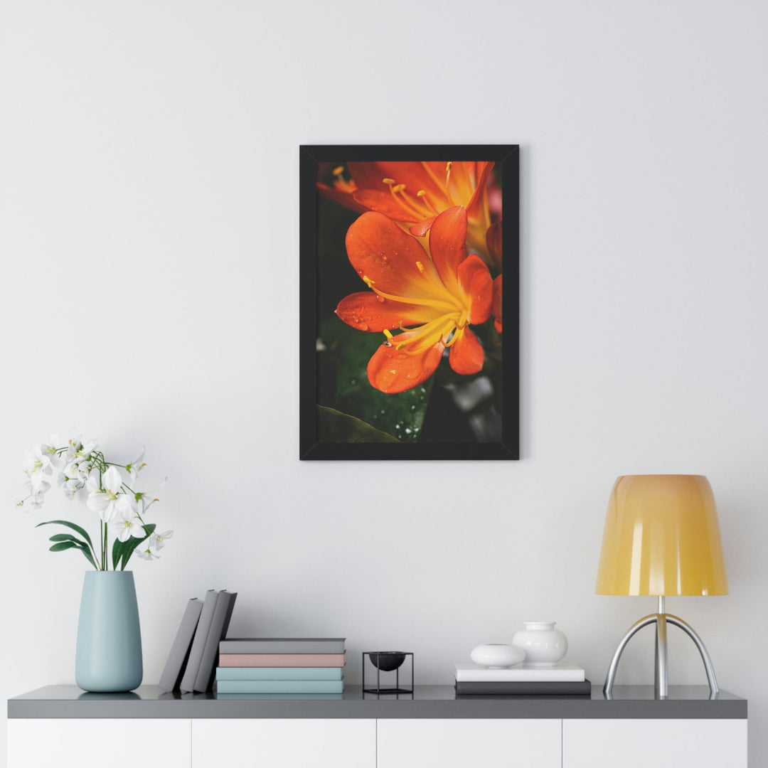 Bright Bush Lily - Framed Print - Visiting This World