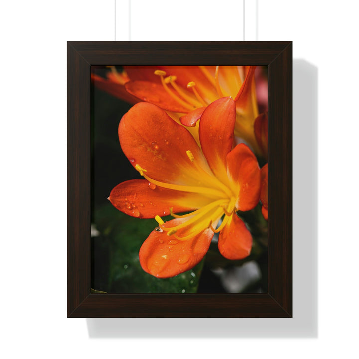 Bright Bush Lily - Framed Print - Visiting This World