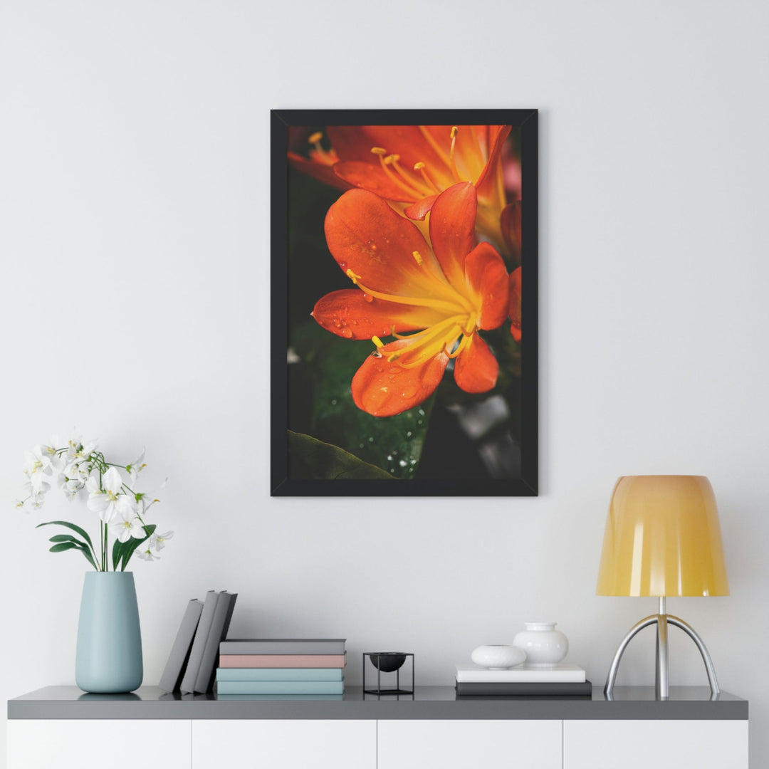 Bright Bush Lily - Framed Print - Visiting This World