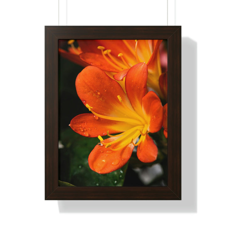 Bright Bush Lily - Framed Print - Visiting This World