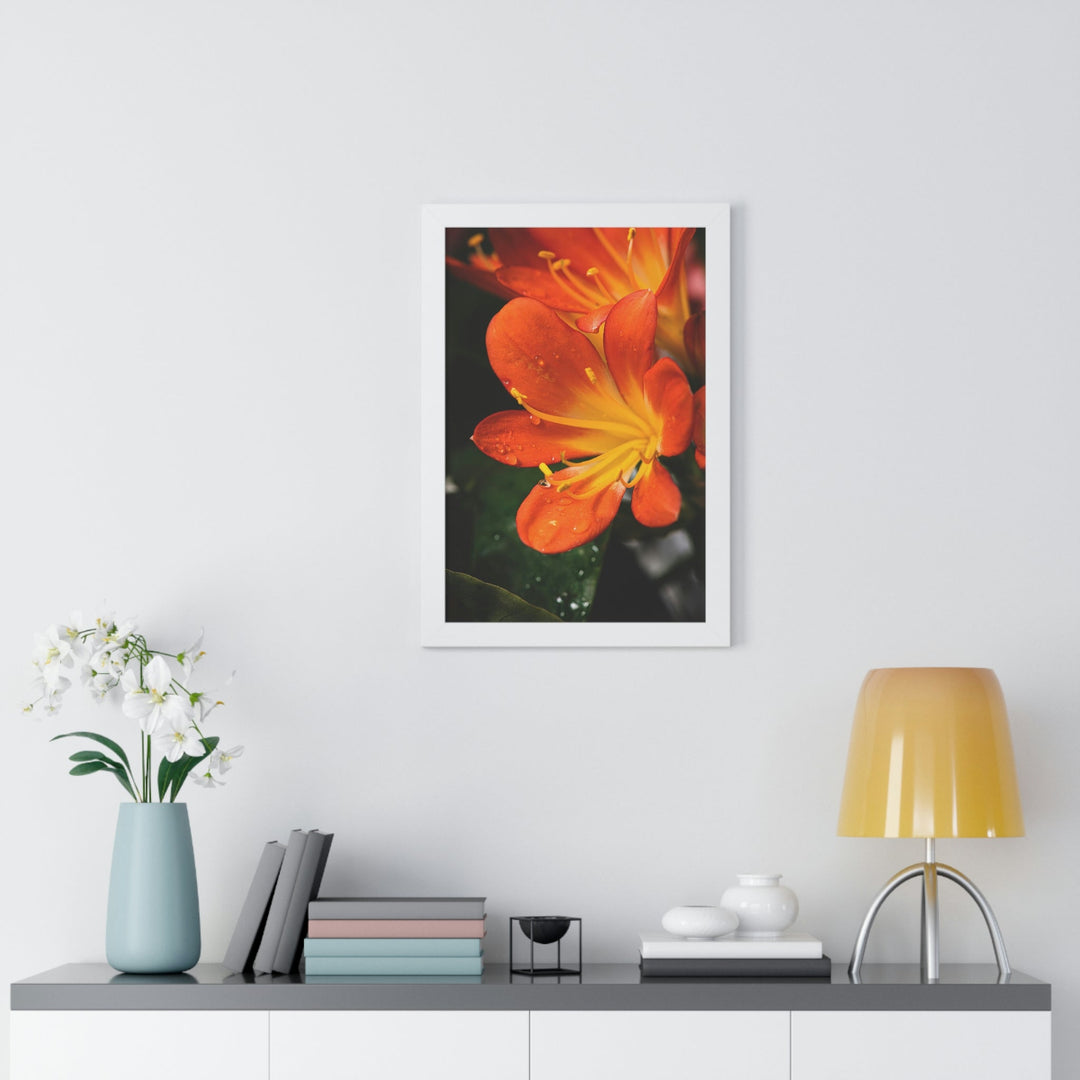 Bright Bush Lily - Framed Print - Visiting This World