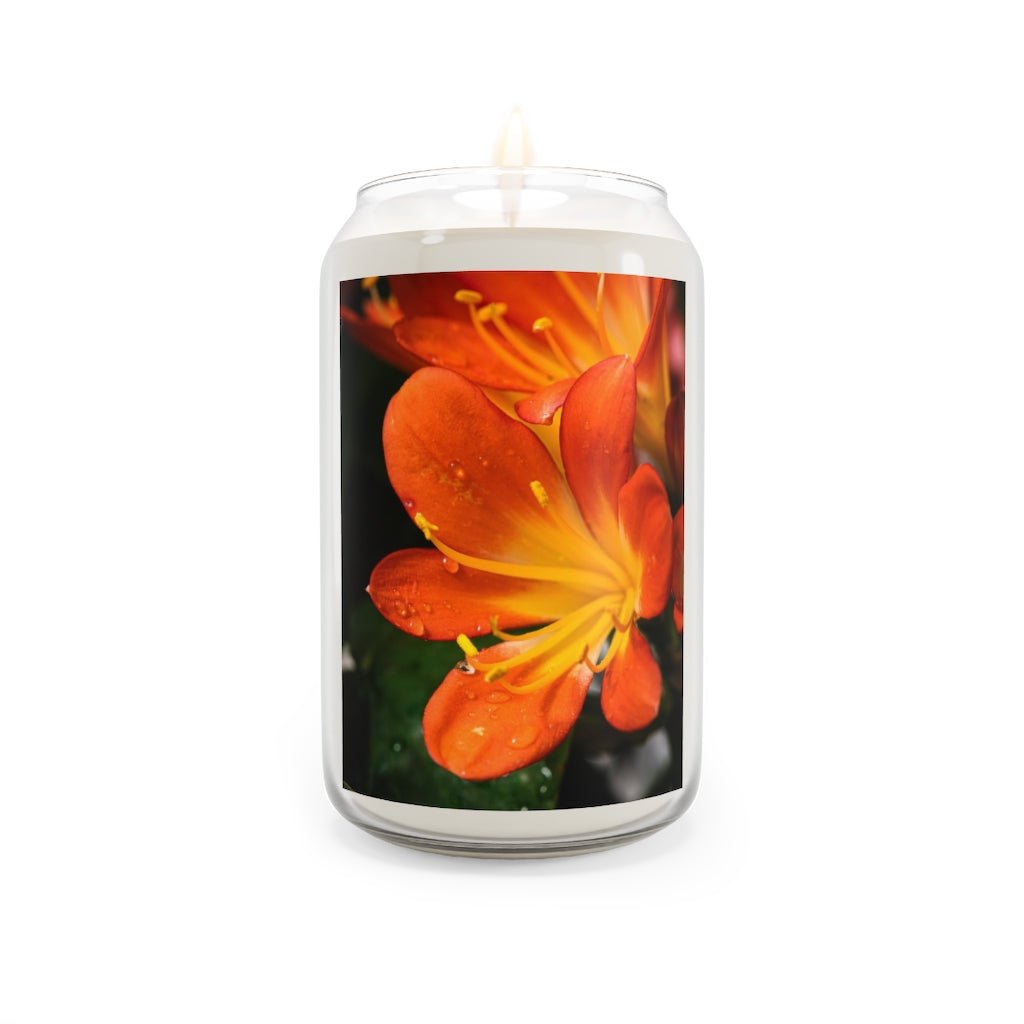 Bright Bush Lily - Scented Candle, 13.75oz - Visiting This World