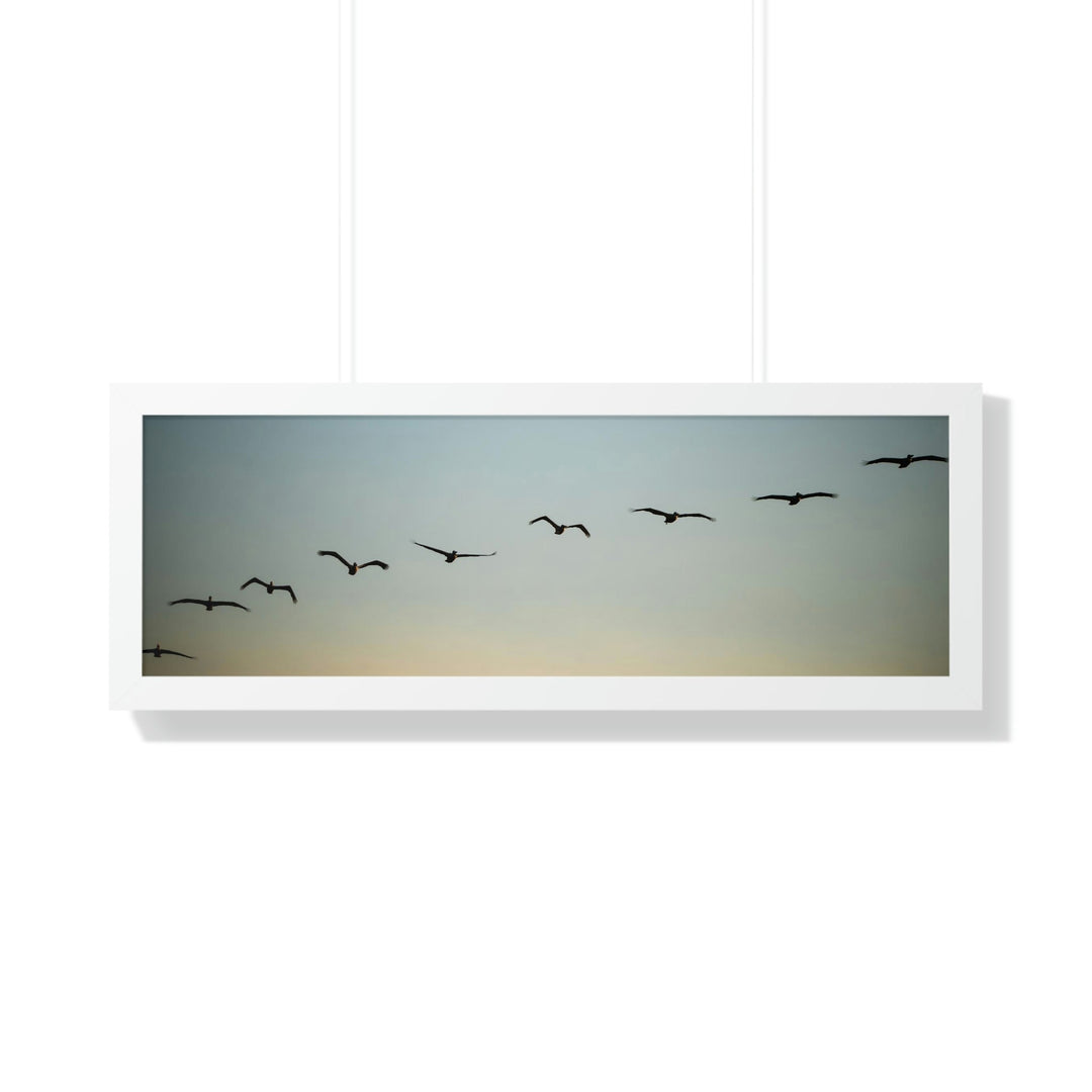 Brown Pelicans in Flight - Framed Print - Visiting This World