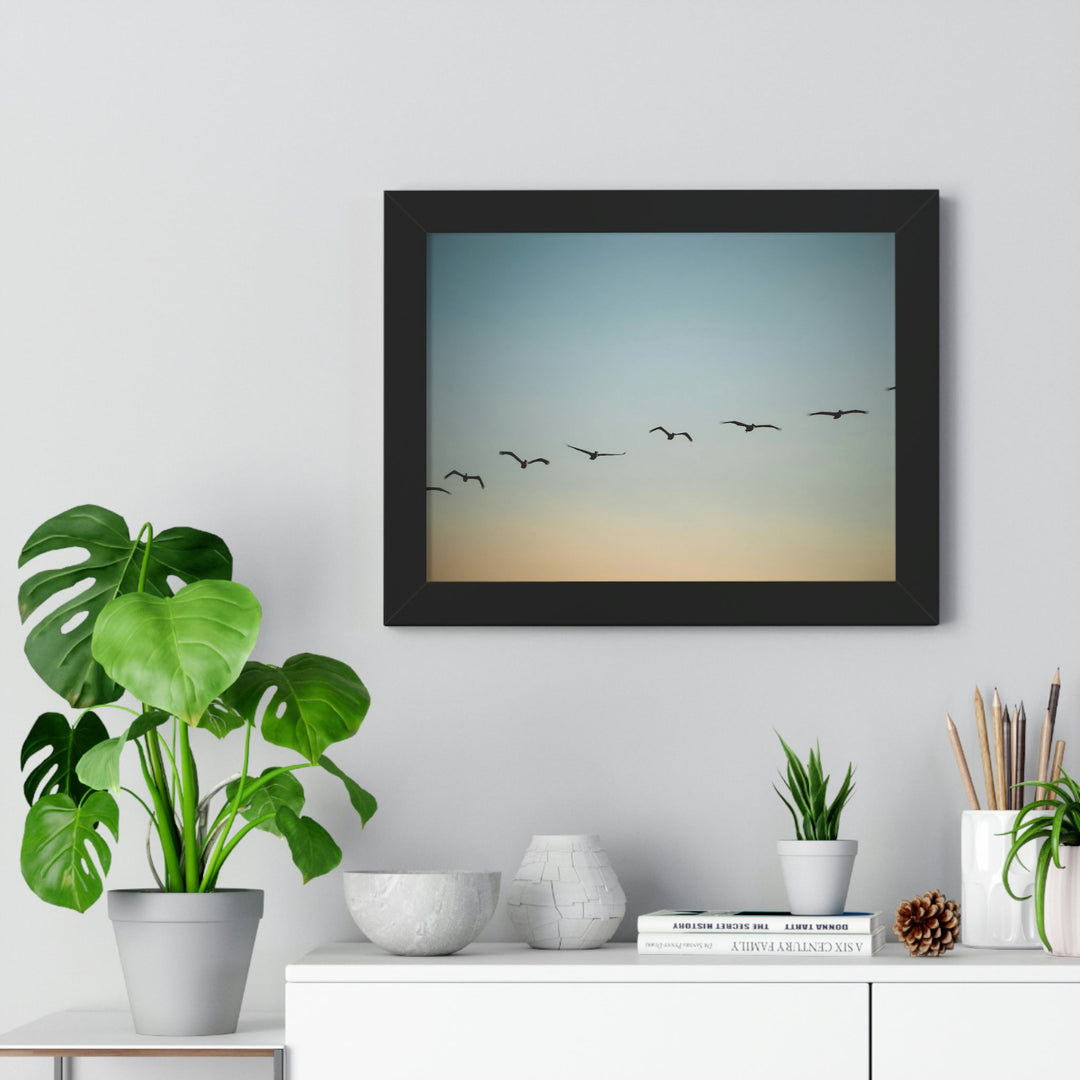 Brown Pelicans in Flight - Framed Print - Visiting This World