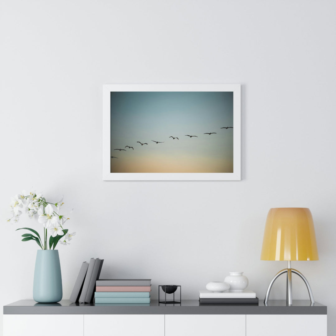 Brown Pelicans in Flight - Framed Print - Visiting This World