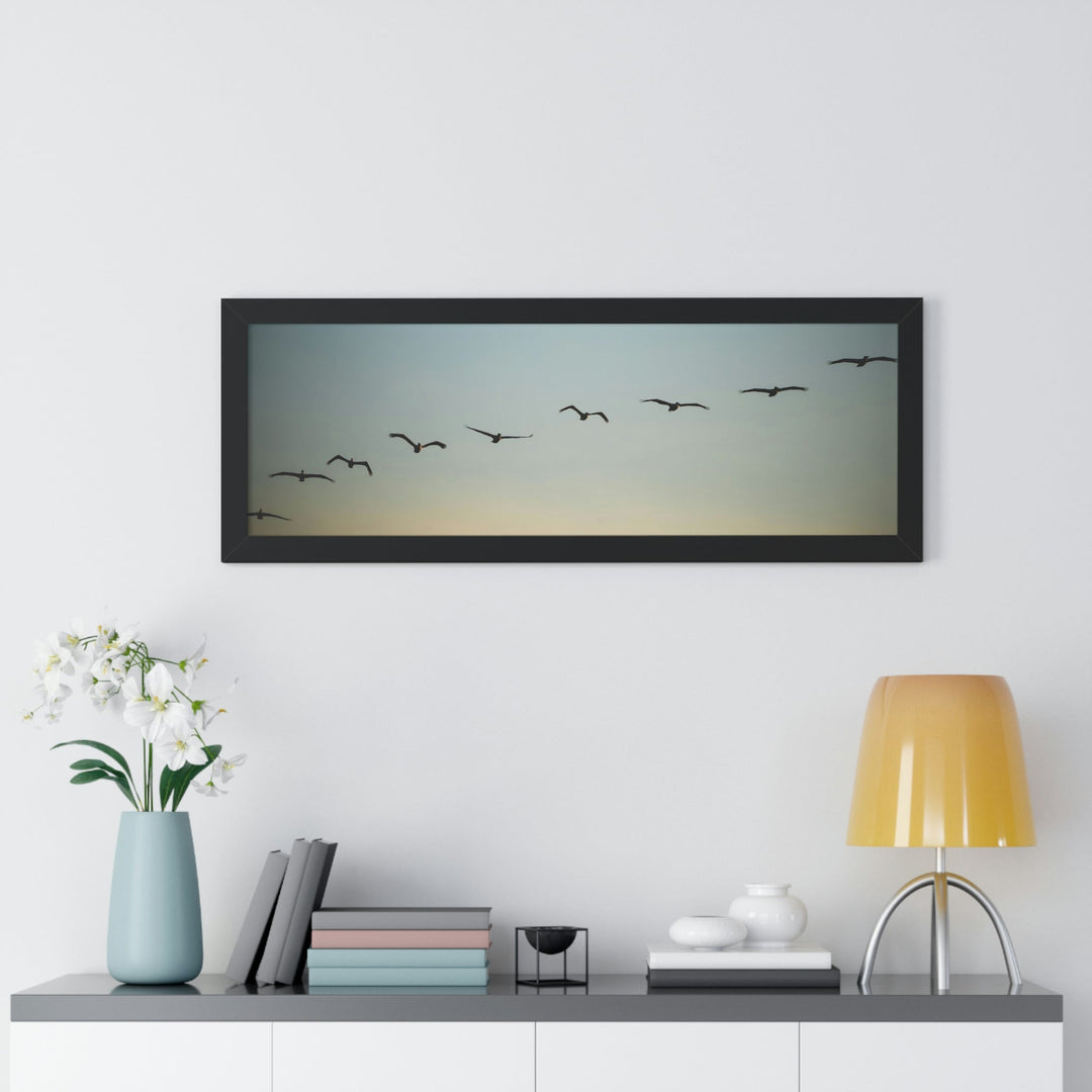 Brown Pelicans in Flight - Framed Print - Visiting This World