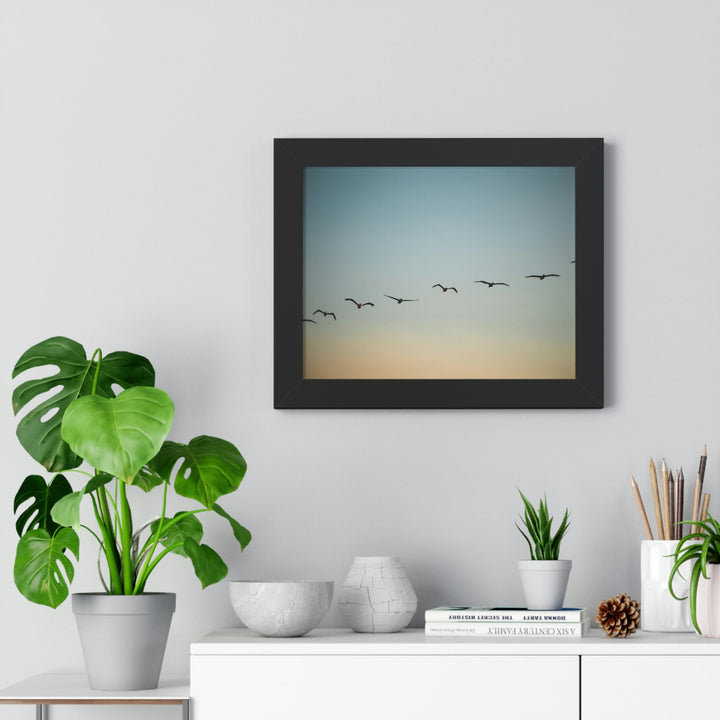 Brown Pelicans in Flight - Framed Print - Visiting This World