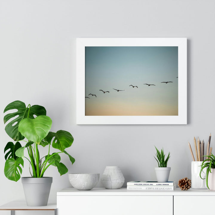 Brown Pelicans in Flight - Framed Print - Visiting This World