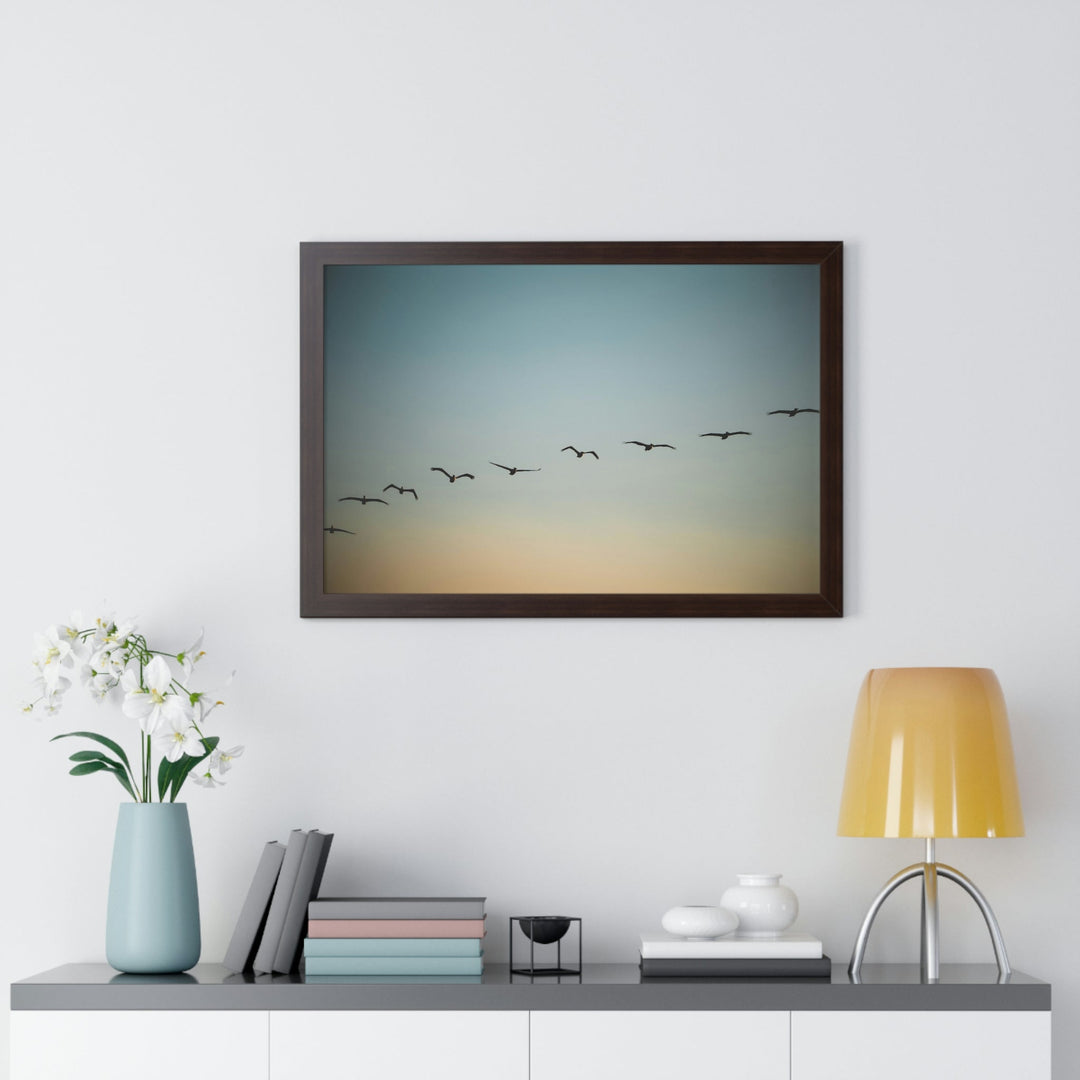 Brown Pelicans in Flight - Framed Print - Visiting This World