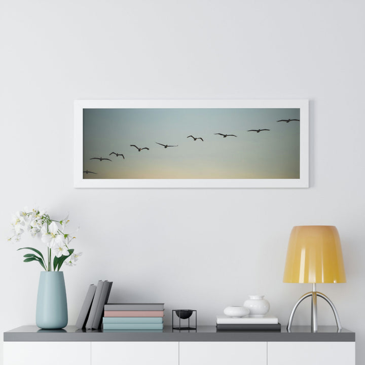 Brown Pelicans in Flight - Framed Print - Visiting This World