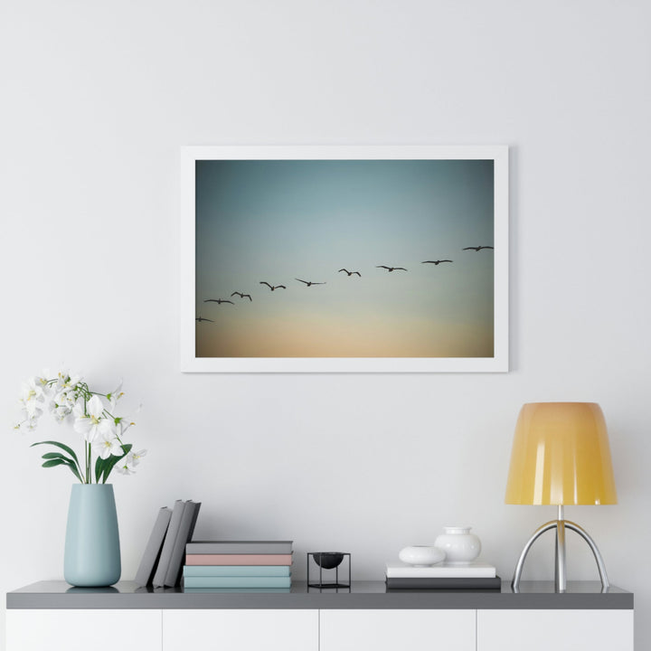 Brown Pelicans in Flight - Framed Print - Visiting This World