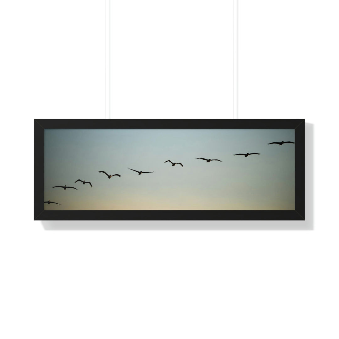 Brown Pelicans in Flight - Framed Print - Visiting This World