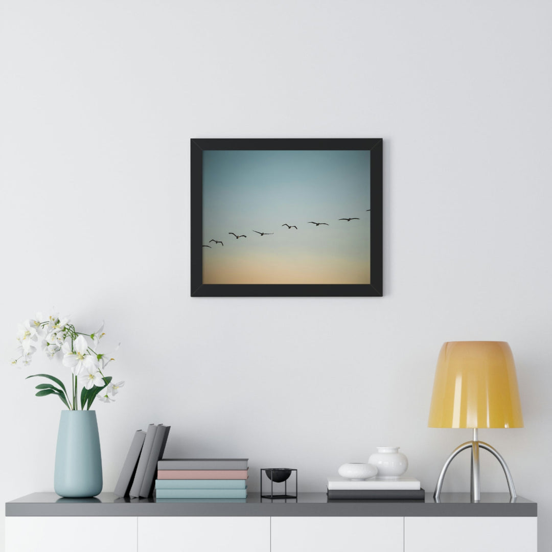 Brown Pelicans in Flight - Framed Print - Visiting This World