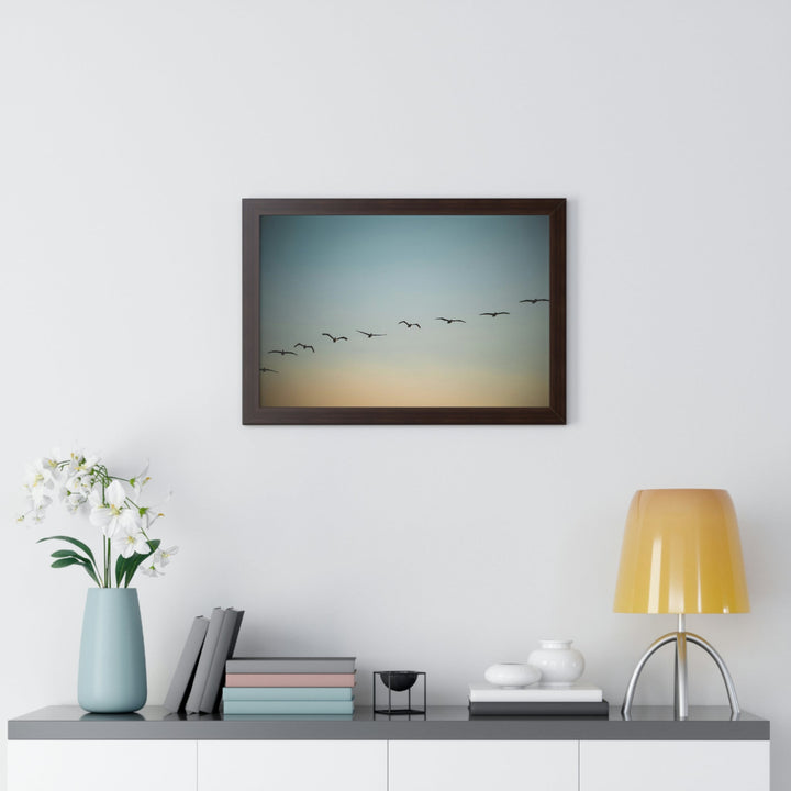 Brown Pelicans in Flight - Framed Print - Visiting This World