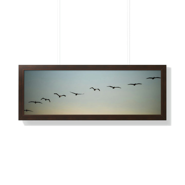 Brown Pelicans in Flight - Framed Print - Visiting This World