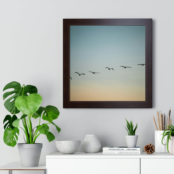 Brown Pelicans in Flight - Framed Print - Visiting This World