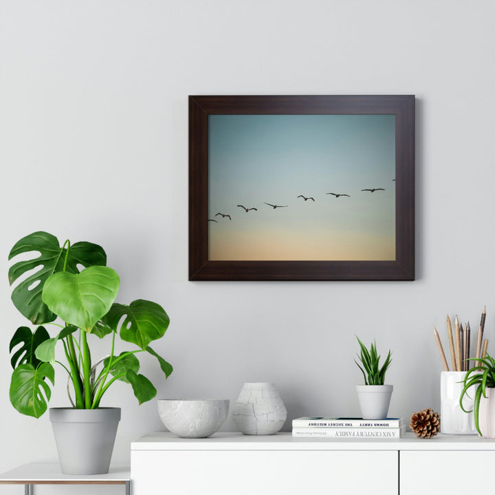 Brown Pelicans in Flight - Framed Print - Visiting This World