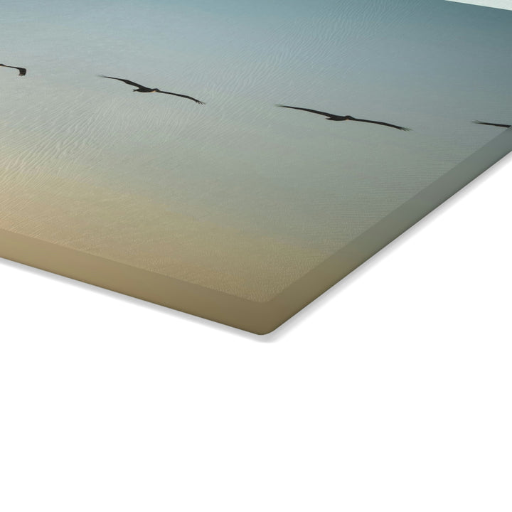 Brown Pelicans in Flight - Glass Cutting Board - Visiting This World