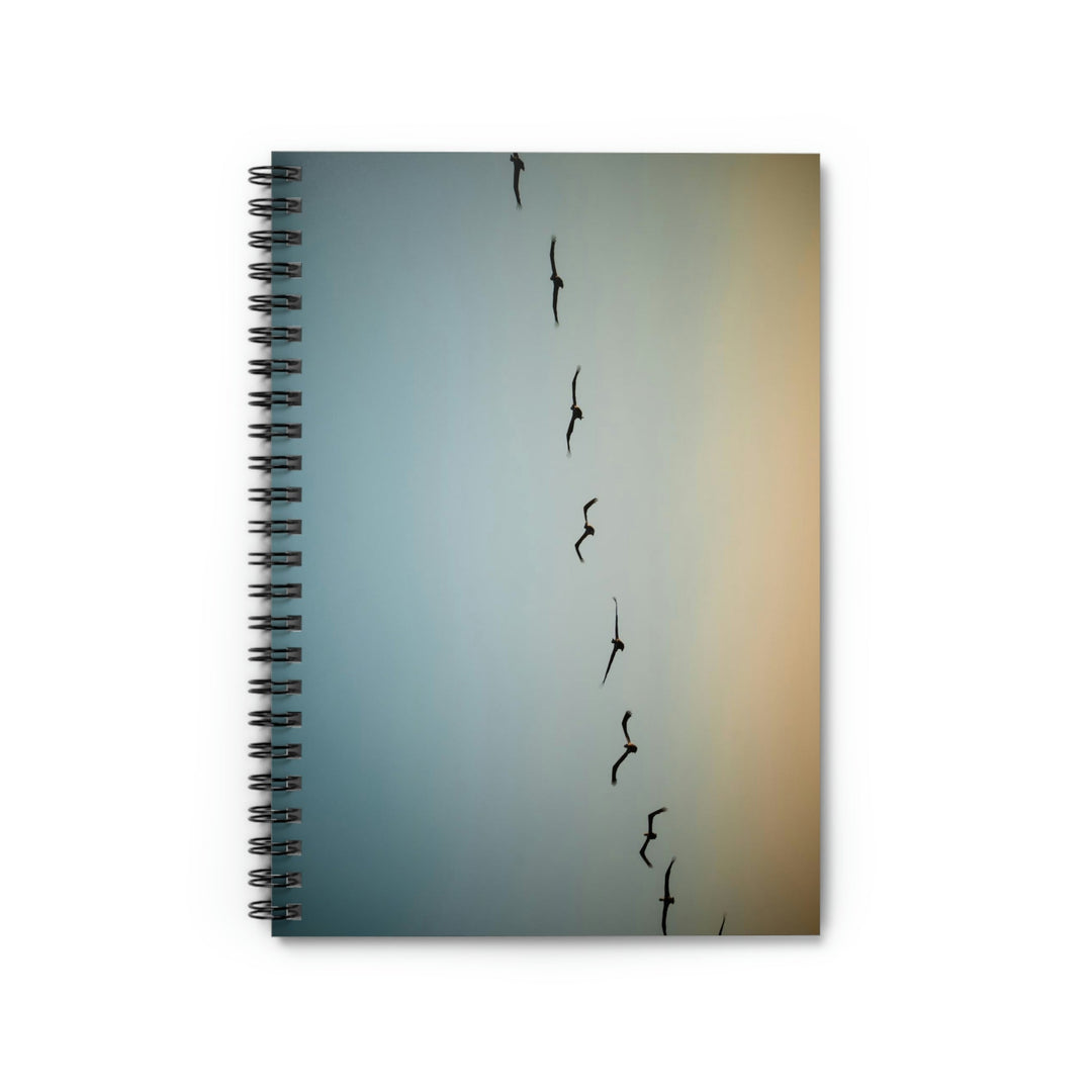 Brown Pelicans in Flight - Spiral Ruled Line Notebook - Visiting This World