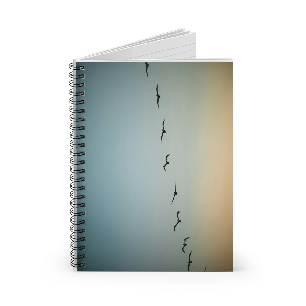 Brown Pelicans in Flight - Spiral Ruled Line Notebook - Visiting This World