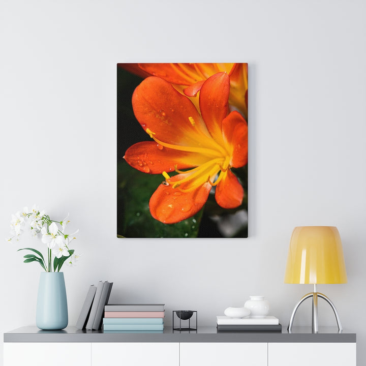 Bright Bush Lily - Canvas