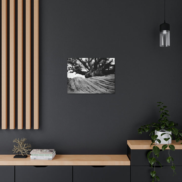 Desert Reach in Black and White - Canvas