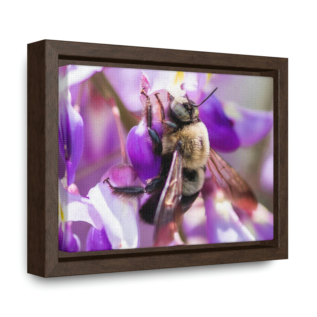 Hungry Visitor - Canvas with Frame